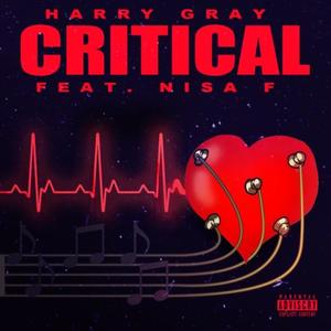 Critical (feat. NisaF)