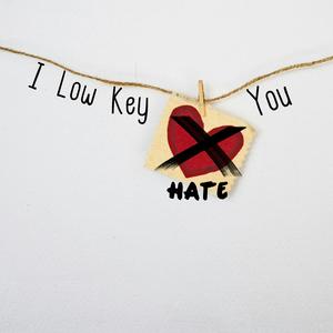 I Low Key Hate You (Explicit)