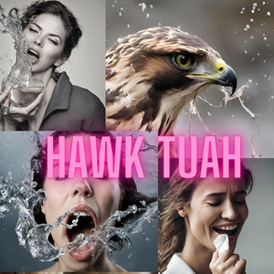Hawk Tuah Girl