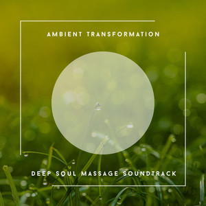 Ambient Transformation