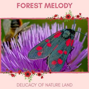 Forest Melody - Delicacy of Nature Land