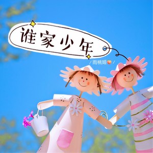 谁家少年