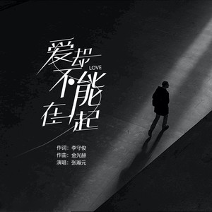 张瀚元 - 爱却不能在一起 (原版伴奏|伴奏)