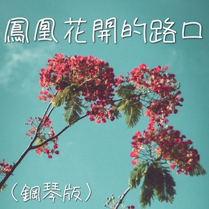 凤凰花开的路口 (钢琴版)