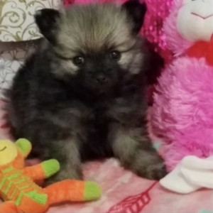 you keep it (Explicit)