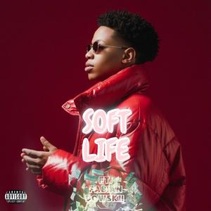 SOFT LIFE (feat. Fabian Dowskii) (Explicit)