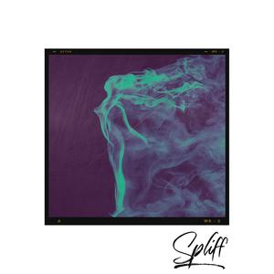 Spliff (feat. RapMoses & Smokky B) (Explicit)