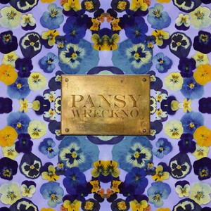 PANSY (Explicit)