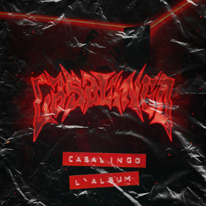 CASALINGO L'ALBUM (Explicit)