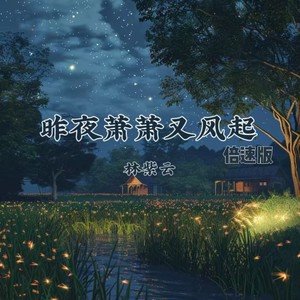 昨夜萧萧又风起 (0.9X)