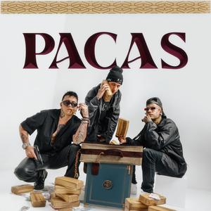 Pacas