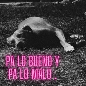 Pa lo bueno y pa lo malo (feat. Malo Mulato)