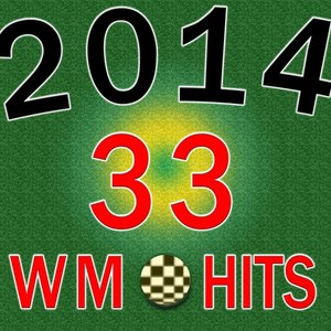 33 WM HITS 2014