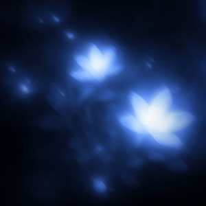 World of Ignorance (slowed + reverb)