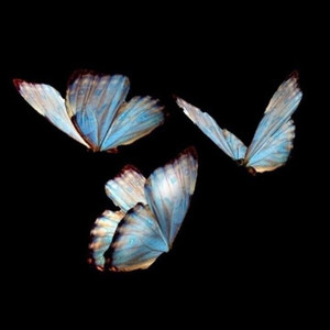 (Intro) Dreaming To The Moon