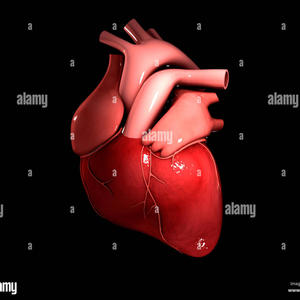 get around (feat. takenines) (Explicit)