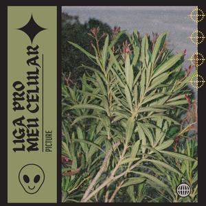 Liga Pro Meu Celular