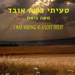 I was wrong as a lost sheep