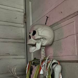 Secret Paintings (Explicit)