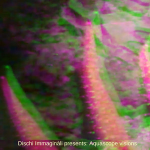 La fisarmonica stasera non suona per noi, rilassati