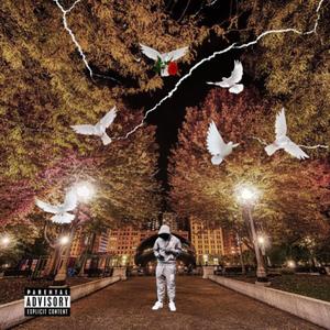 No More November (Explicit)