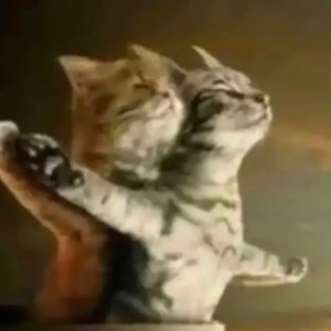 Party Party (Explicit)