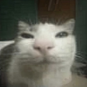 Tu Wacha Es una Milf (Explicit)