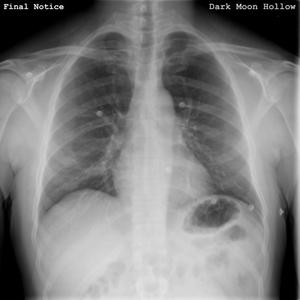 Hate That For Ya (Explicit)