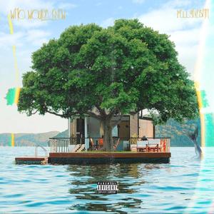 Who Woulda Knew (Explicit)