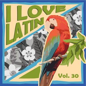 I Love Latin, Vol. 30