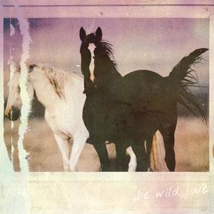 Be Wild Love (Explicit)