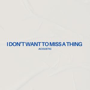 I Don't Want To Miss A Thing (Acoustic)