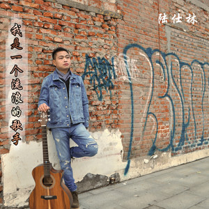 我是一个流浪的歌手