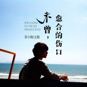 未曾愈合的伤口