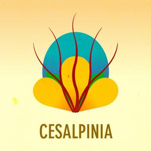 CESALPINIA