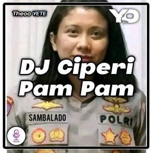DJ Ciperi Pam Pam Maymunah