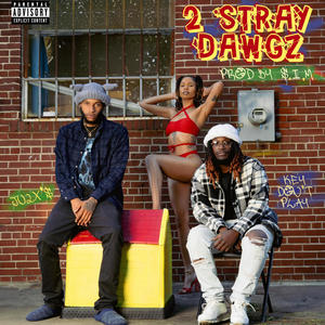 2 STRAY DAWGZ (Explicit)