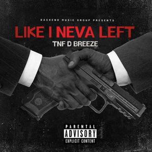 Like I Neva Left (Explicit)