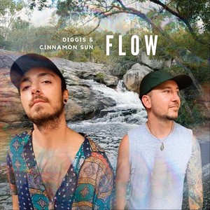 Flow (Explicit)