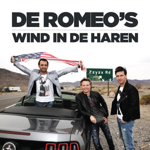 Wind In De Haren