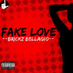 Fake Love (feat. Brickz Bellagio) [Explicit]