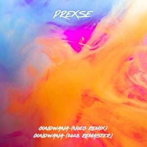 Gondwana (Noeg Remix)