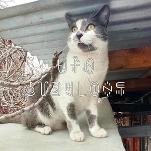 ꐇꄘꆂꋣ꒦ꉖꒄ꒒ꀧꍈꁄ