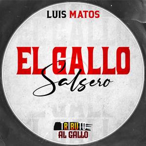 El Gallo Salsero