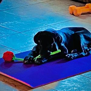 Don't Walk (Explicit)