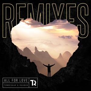 All For Love (Steerner Remix)封面
