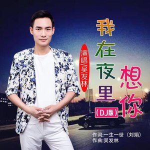 我在夜里想你 (DJ版)