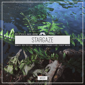 Stargaze (The Note V Remix)