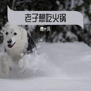 梁世友-广西以南 (傅一凡 remix)