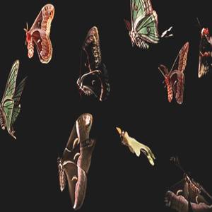 Need You Right Now (Explicit)